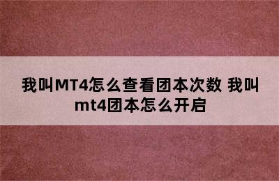 我叫MT4怎么查看团本次数 我叫mt4团本怎么开启